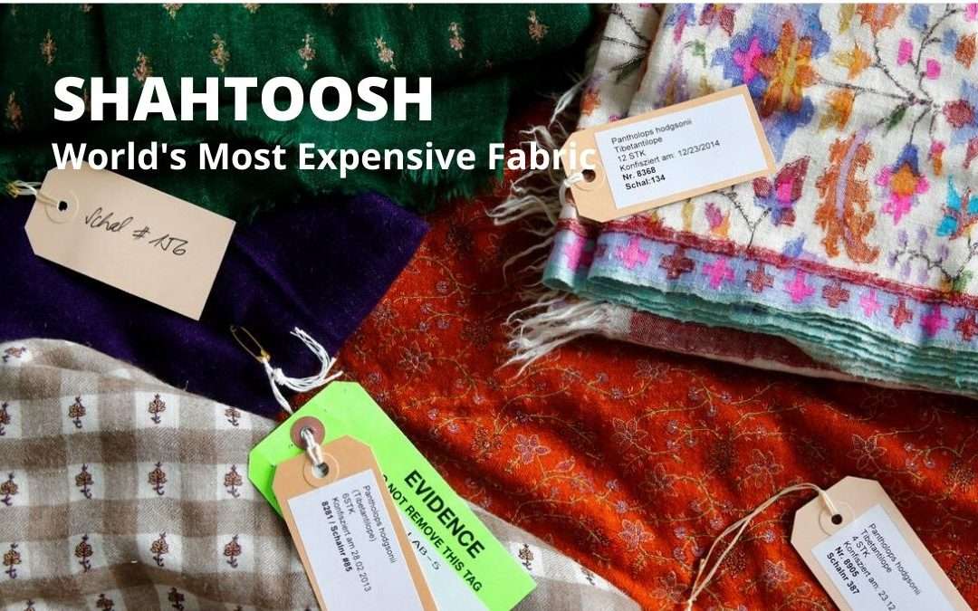 The Story of Shahtoosh: World’s Most Expensive Fabric