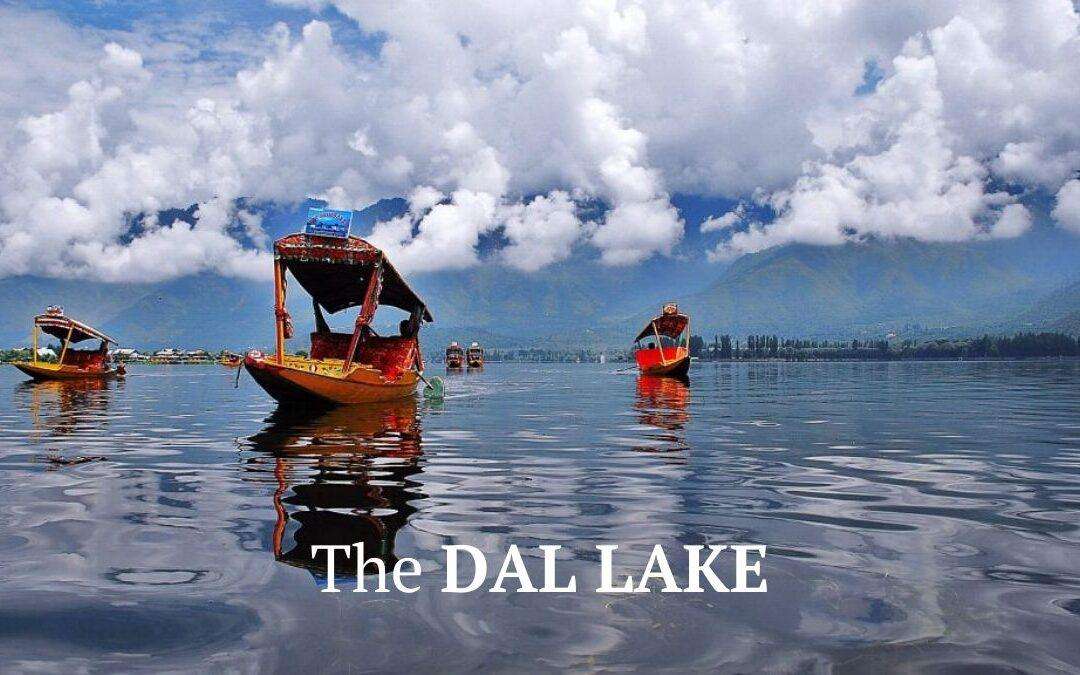 Dal Lake: The Heart of Srinagar