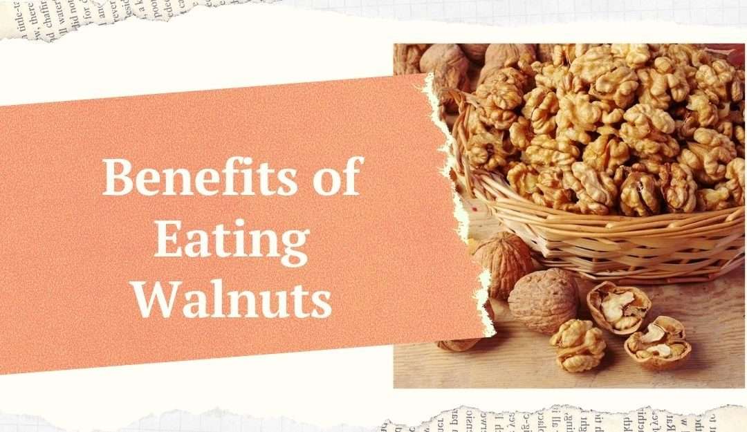 Top 15 Benefits of Walnuts {Scientific Research}