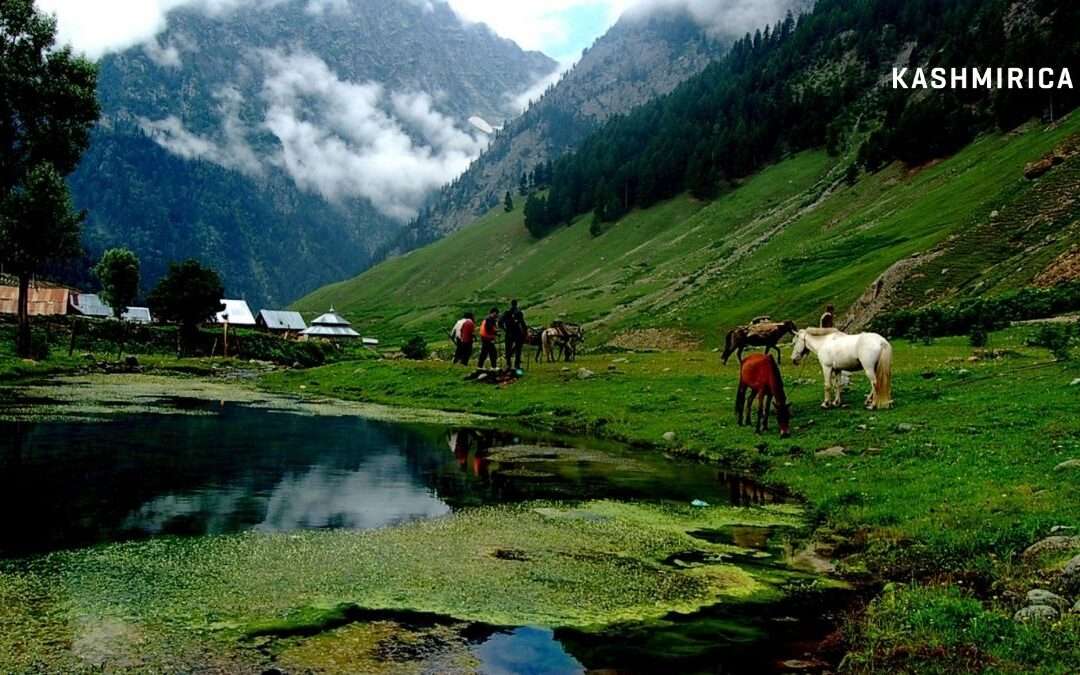 A-Z Guide to Visiting Sonamarg {Happy Travel}