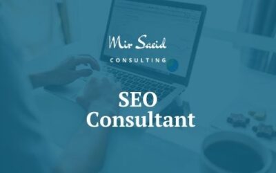 Who Is An Seo Consultant & What’Ll He Do For You?