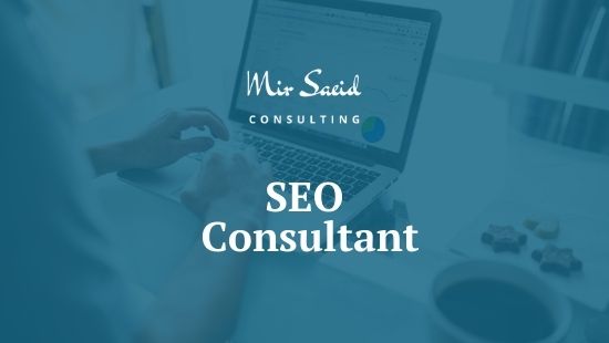 Who is an SEO consultant & What’ll he do for you?