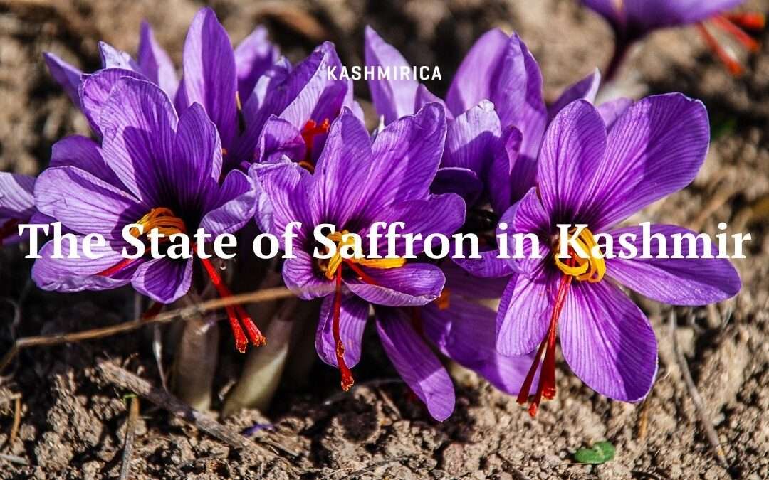 The State of Saffron in Kashmir