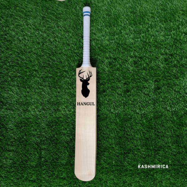 Cricket Bat From Kashmir