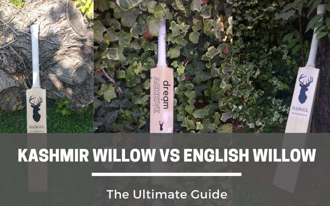 Kashmir Willow Vs English Willow: Which Bat to Buy?