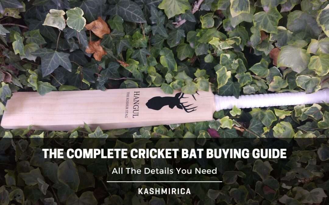 The Ultimate Cricket Bat Buying Guide