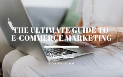The Ultimate Guide To Ecommerce Marketing