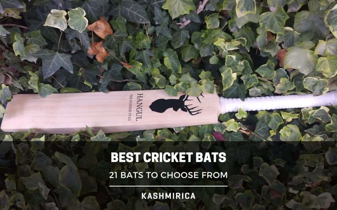 21 Best Cricket Bats | The A – Z Guide