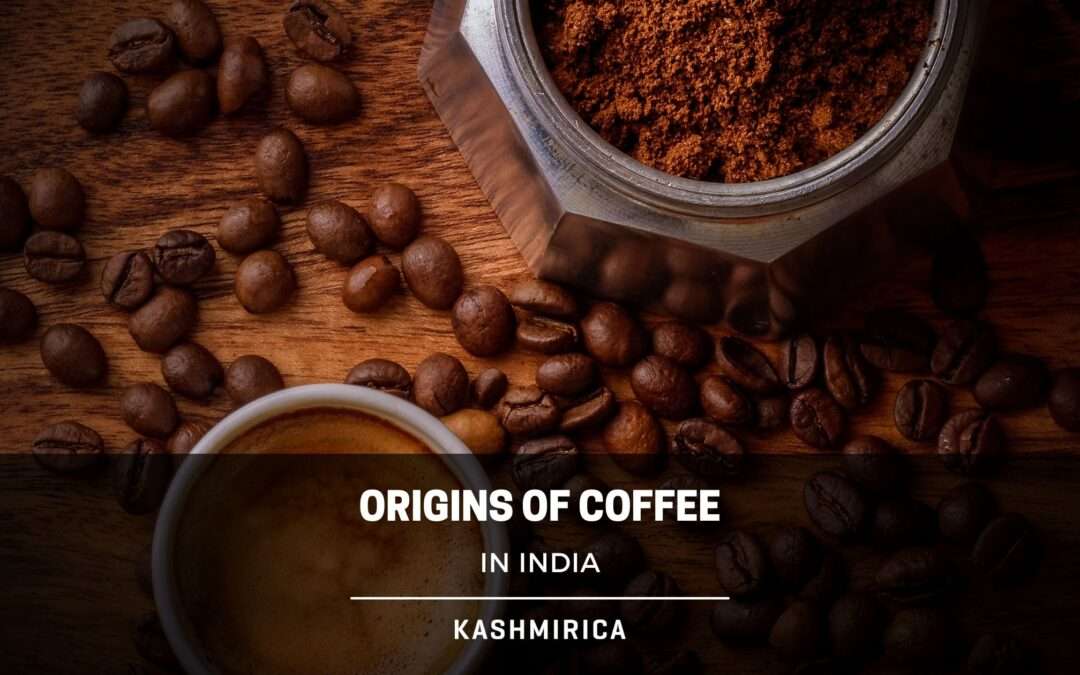 Surprising Story of How Coffee Came to India?