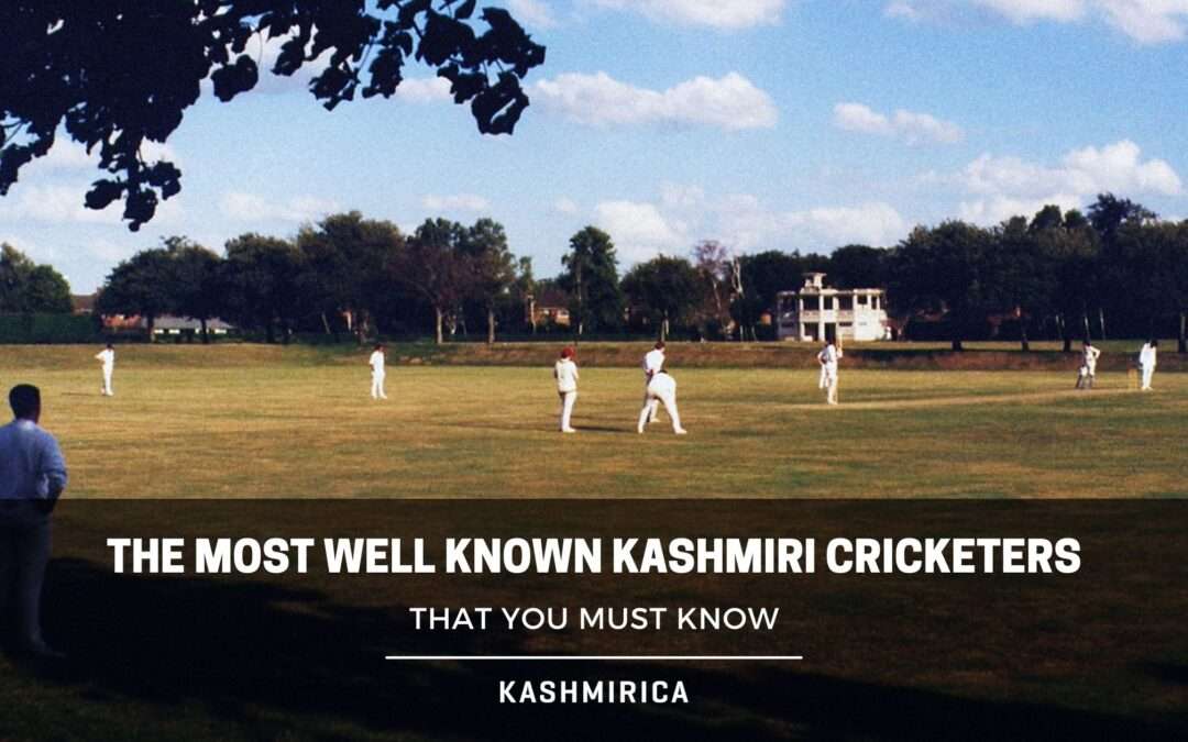 The Most Well Known Kashmiri Cricketers