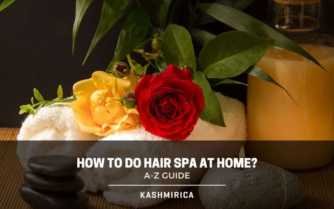 How to do Hair Spa at Home? – DIY