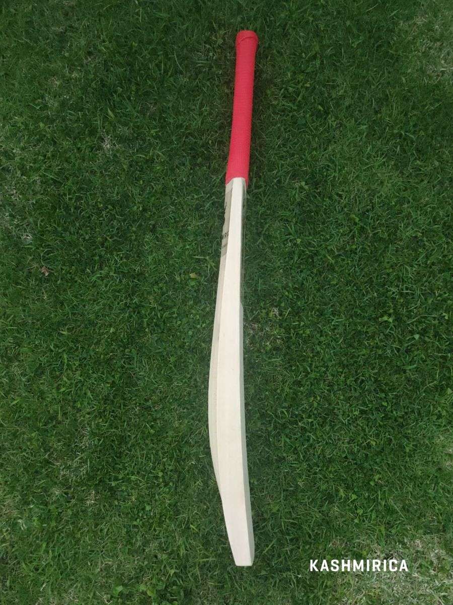 Single Blade Cricket Bats, double blade vs. single blade cricket bats
