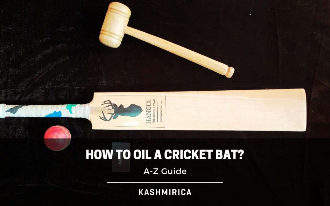 How to Oil a Cricket Bat – The Ultimate Guide