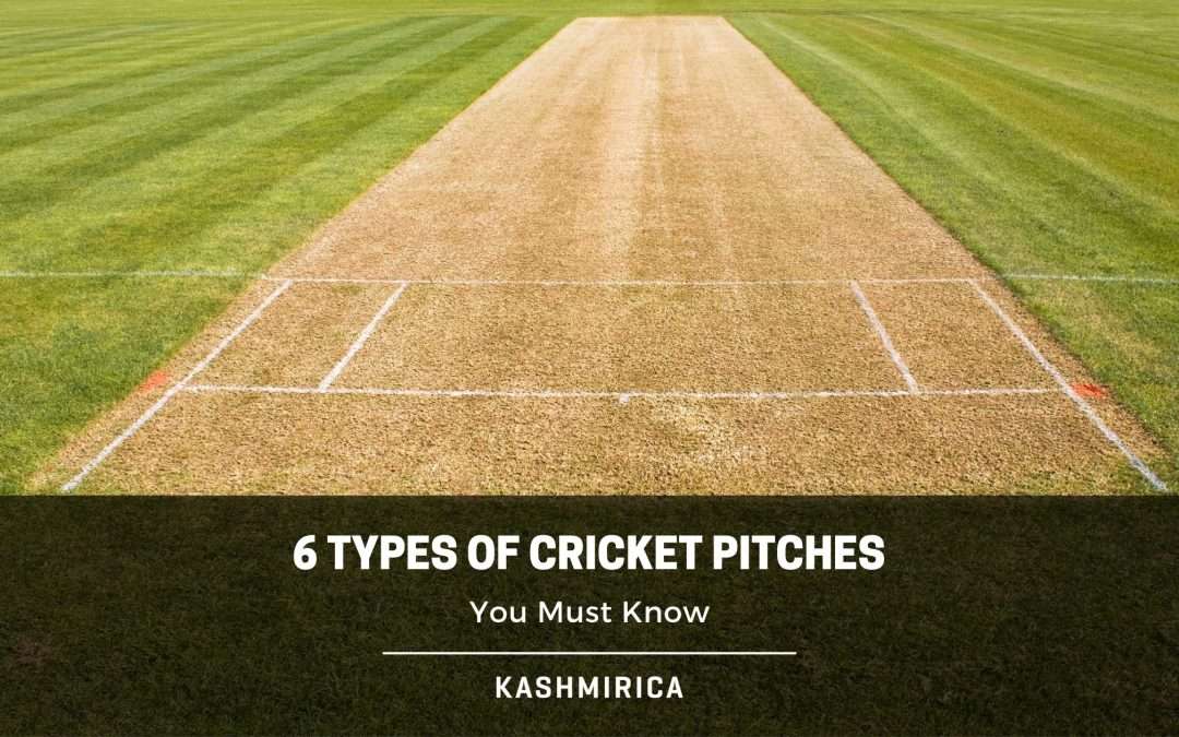 6 Types of Cricket Pitches You Must Know