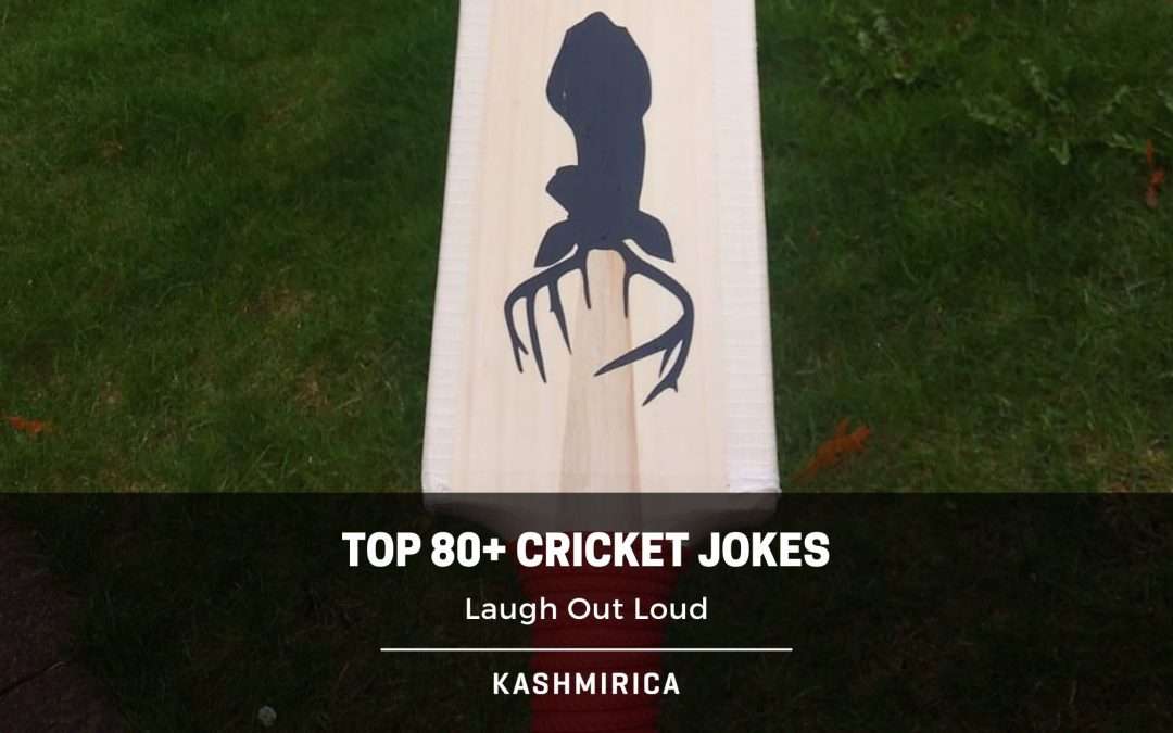 Top 80+ Cricket Jokes – Laugh Out Loud