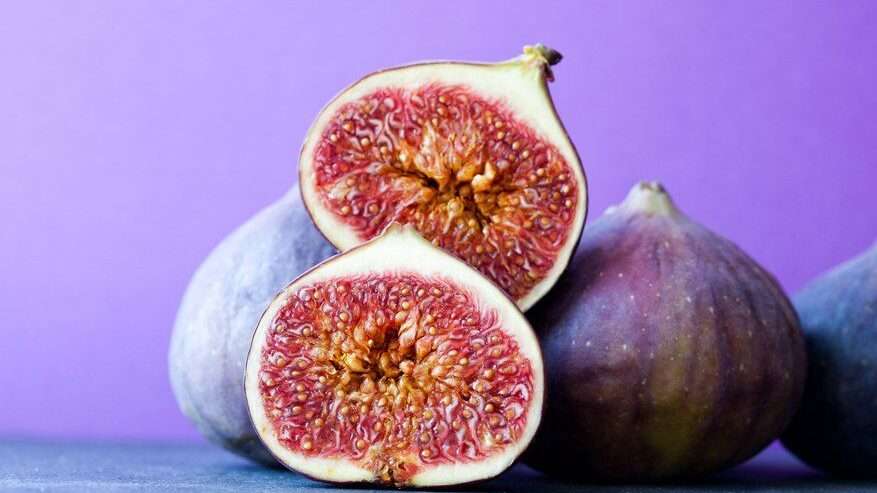 Figs in the Quran