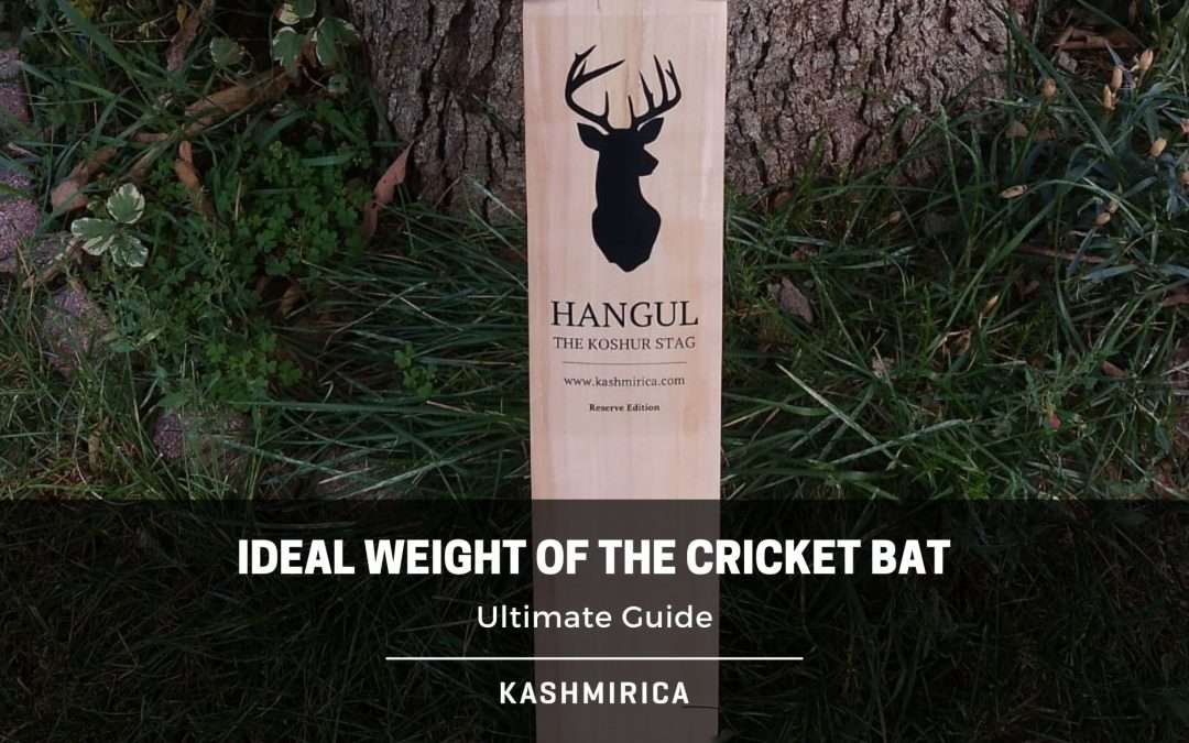 Ideal Weight of the Cricket Bat – Complete Guide