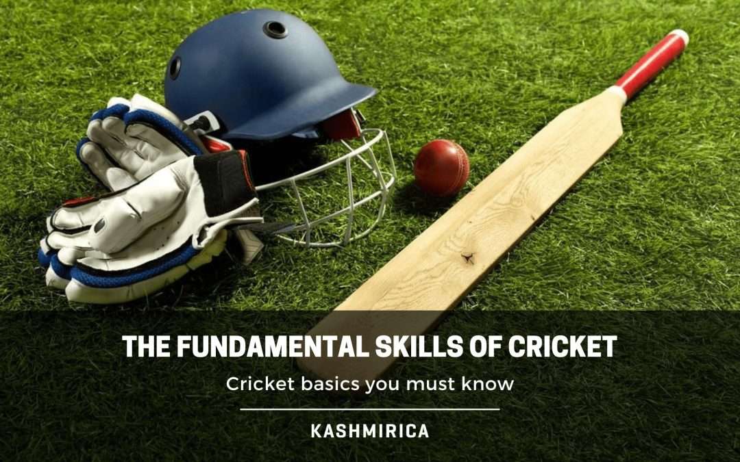 Mastering the Basics: The 14 Fundamental Skills of Cricket