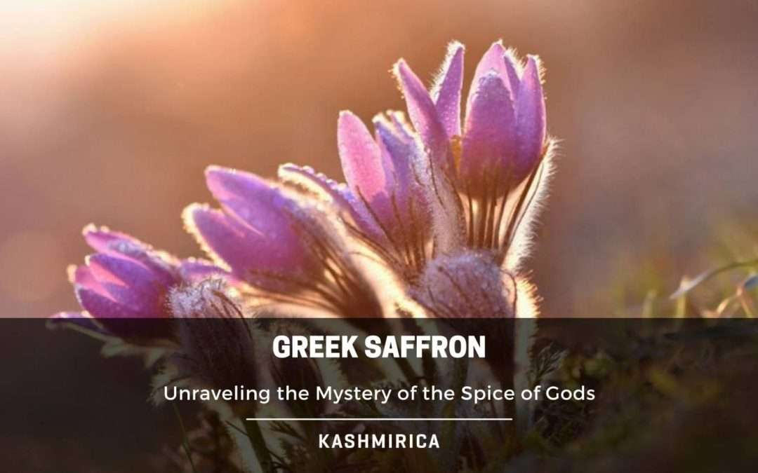 Greek Saffron: The Spice of Gods