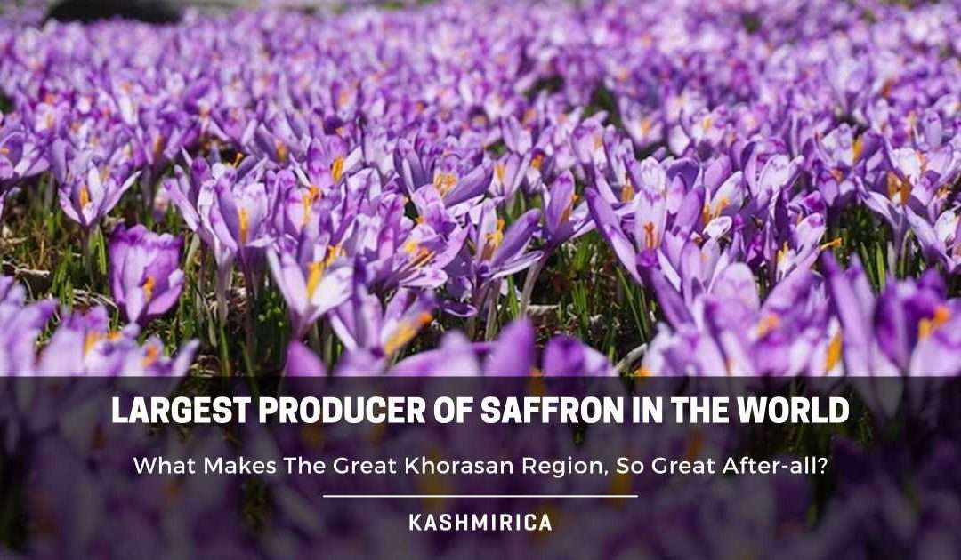 Largest Producer Of Saffron in the World