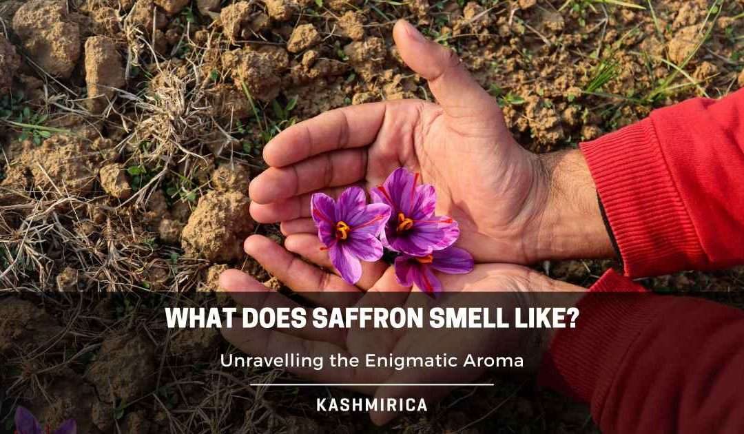 What Does Saffron Smell Like? Explained!