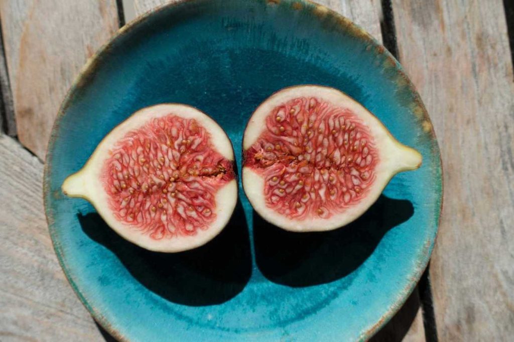 Fresh Fig