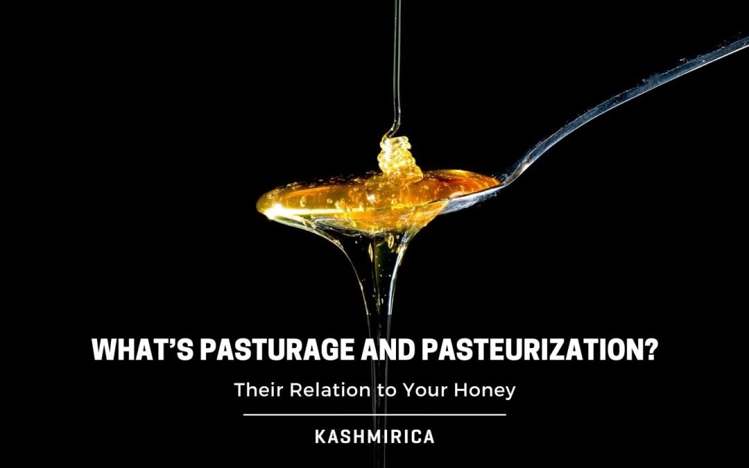 What’s Pasturage and Pasteurization? And Their Relation to Your Honey